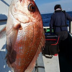 第三むつりょう丸 釣果