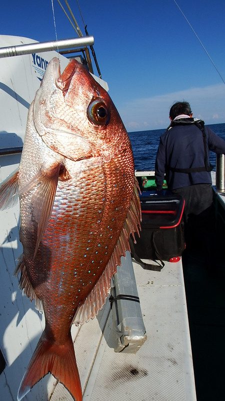第三むつりょう丸 釣果