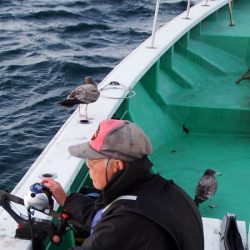 第三むつりょう丸 釣果