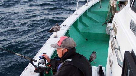 第三むつりょう丸 釣果