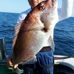 第三むつりょう丸 釣果