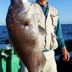 第三むつりょう丸 釣果