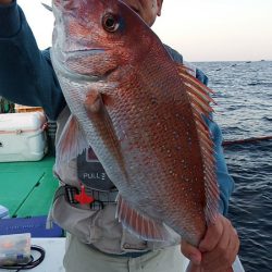 第三むつりょう丸 釣果