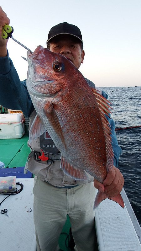 第三むつりょう丸 釣果