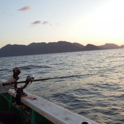 第三むつりょう丸 釣果