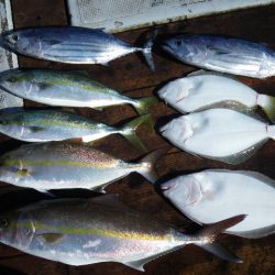小海途 釣果