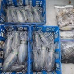 小海途 釣果
