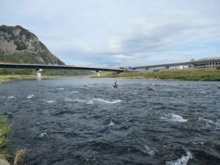 狩野川(狩野川漁業協同組合) 釣果