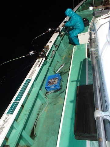 第二むつ漁丸 釣果