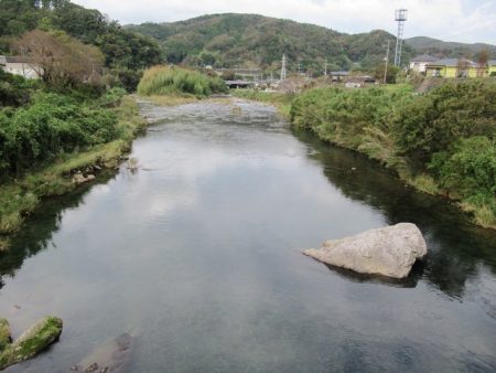 狩野川(狩野川漁業協同組合) 釣果