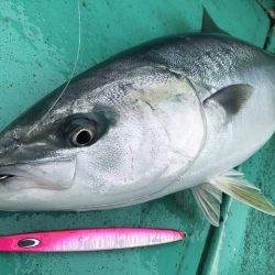 広進丸 釣果
