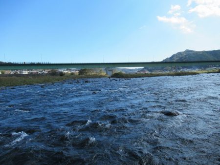 狩野川（狩野川漁業協同組合） 釣果