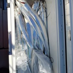 遊漁船　ニライカナイ 釣果