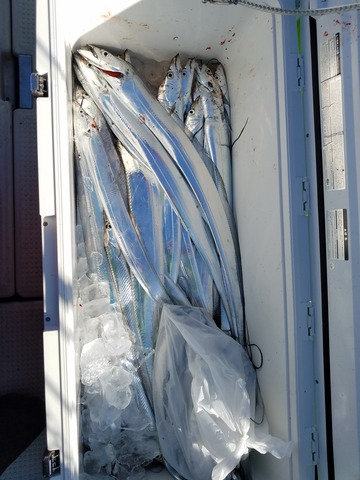 遊漁船　ニライカナイ 釣果