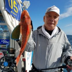 遊漁船 ニライカナイ 釣果