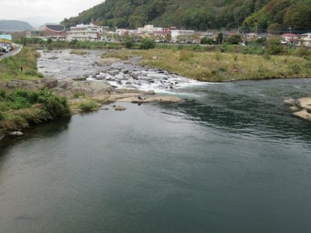 狩野川(狩野川漁業協同組合) 釣果