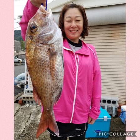 桑田観光 釣果