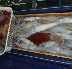 松福丸 釣果