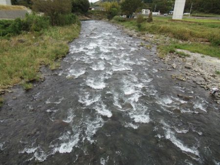 狩野川(狩野川漁業協同組合) 釣果