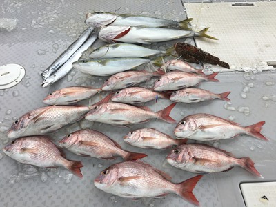 ミタチ丸 釣果