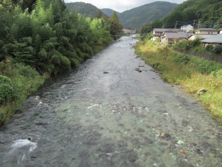 狩野川(狩野川漁業協同組合) 釣果