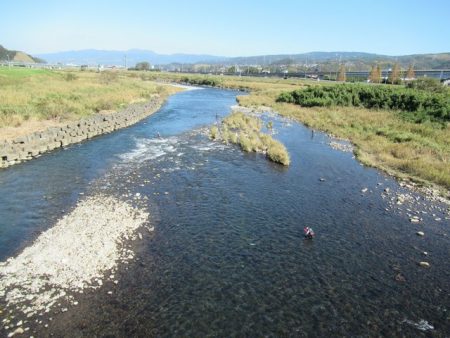 狩野川(狩野川漁業協同組合) 釣果