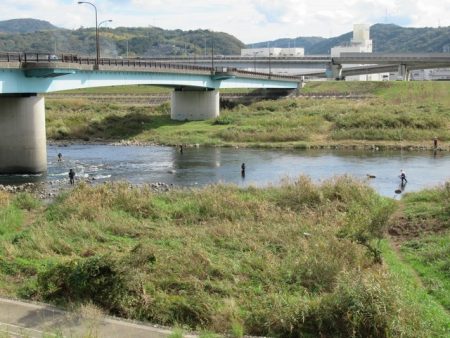 狩野川(狩野川漁業協同組合) 釣果