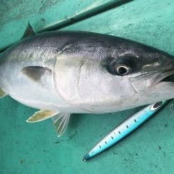 広進丸 釣果
