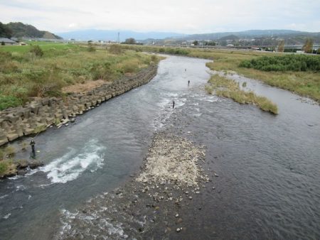 狩野川(狩野川漁業協同組合) 釣果