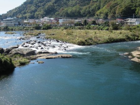 狩野川(狩野川漁業協同組合) 釣果