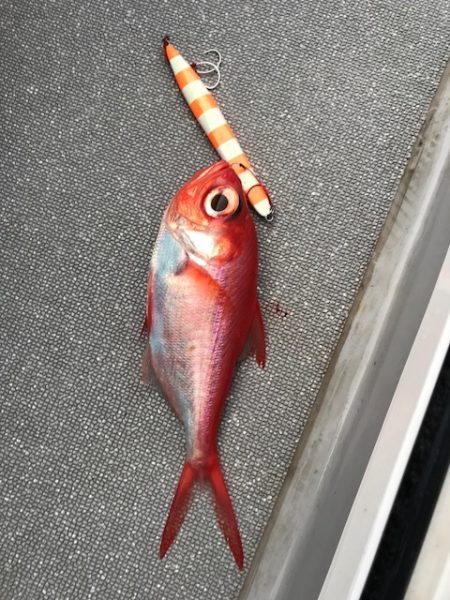 へいみつ丸 釣果