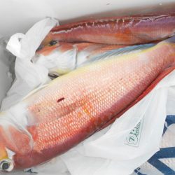 こうゆう丸 釣果