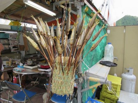 狩野川(狩野川漁業協同組合) 釣果