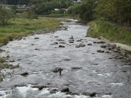 狩野川(狩野川漁業協同組合) 釣果