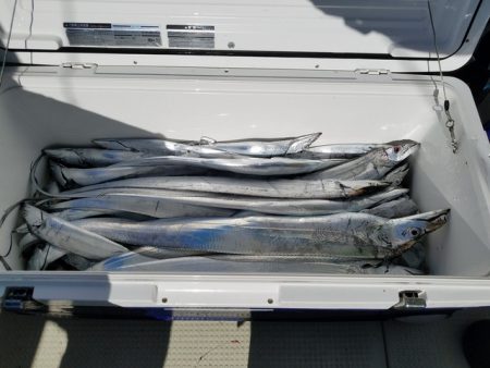 遊漁船　ニライカナイ 釣果