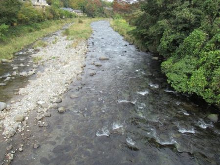 狩野川(狩野川漁業協同組合) 釣果