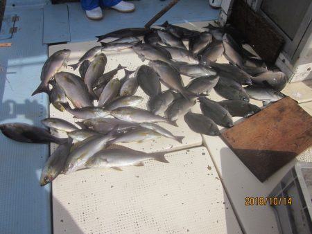 第十八吉栄丸 釣果