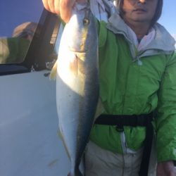 シーモンキー 釣果