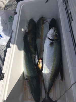 シーモンキー 釣果