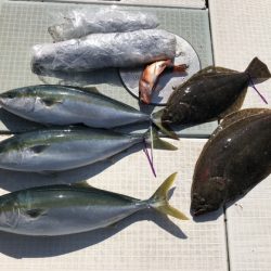 ふじしめ丸 釣果