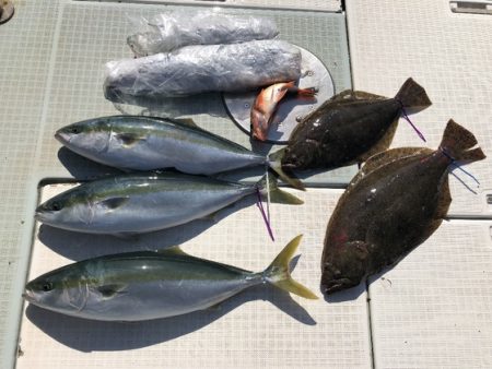 ふじしめ丸 釣果