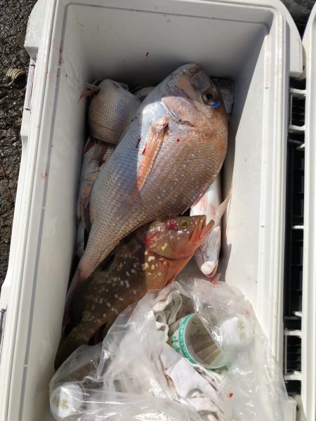 リトルワン 釣果