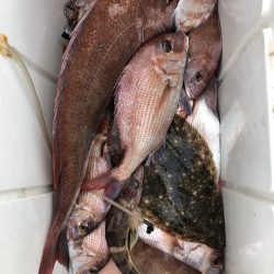 リトルワン 釣果