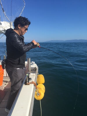 シーモンキー 釣果