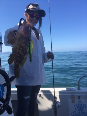 シーモンキー 釣果