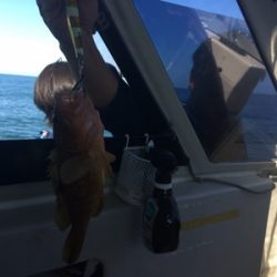 シーモンキー 釣果