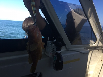 シーモンキー 釣果