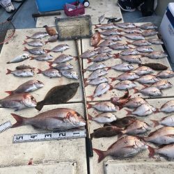 リトルワン 釣果