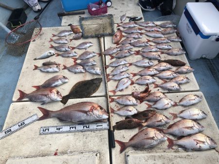 リトルワン 釣果