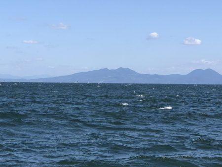 リトルワン 釣果